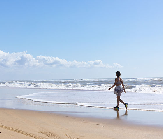 Parque Natural de Doñana, Andalucía