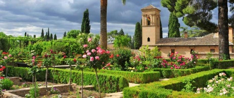 Gardens of the Parador de San Francisco, at the Alhambra in Granada