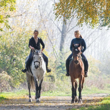 Chicas a caballo