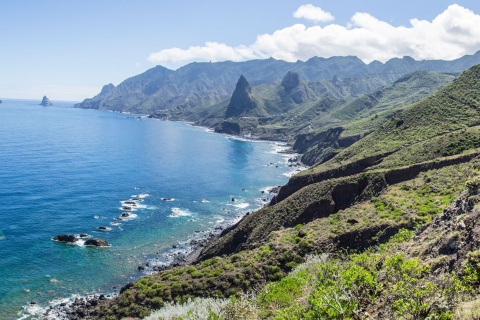 テネリフェの沿岸