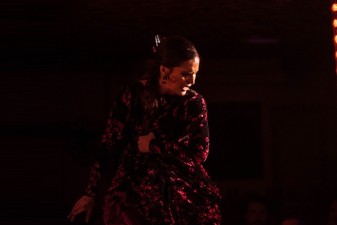 Un spectacle dans un cabaret de flamenco