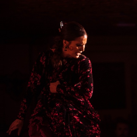 Detail of a performance at a flamenco tablao