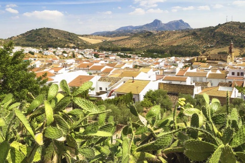 Vista panorâmica de Algodonales (Cádis, Andaluzia)