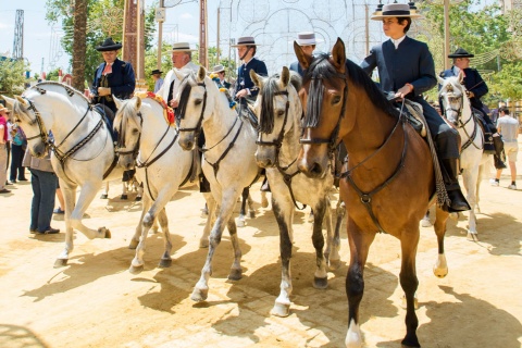 Foire du cheval de Jerez de la Frontera, dans la province de Cadix (Andalousie) 