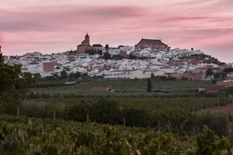 Panoramablick auf Montilla (Córdoba, Andalusien)