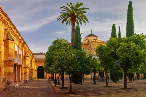 Cortile degli Aranci della Chiesa Cattedrale di Cordova