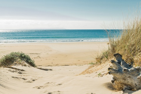 Praia de Bolonia, Tarifa