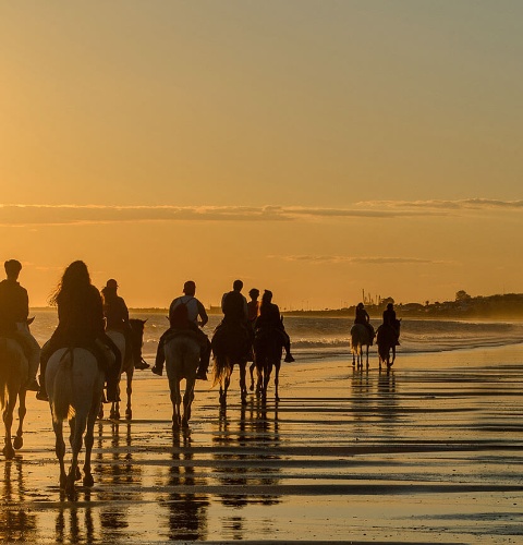 Rota a cavalo na praia Mazagón, Huelva