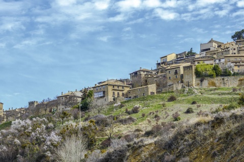 Panoramic view of Sos del Rey Católico in the province of Zaragoza (Aragon)