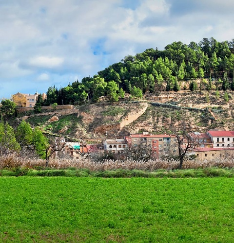 View of Alcañiz. Teruel