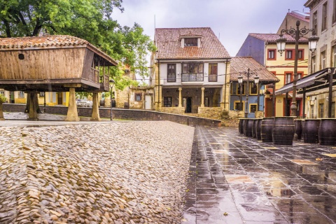 Plaza de Carbayedo de Avilés (Asturias)