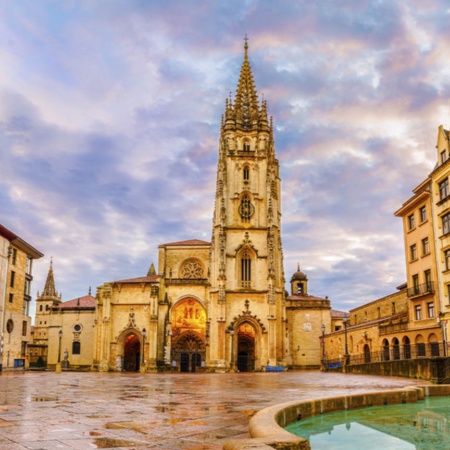 Oviedo Cathedral in Asturias