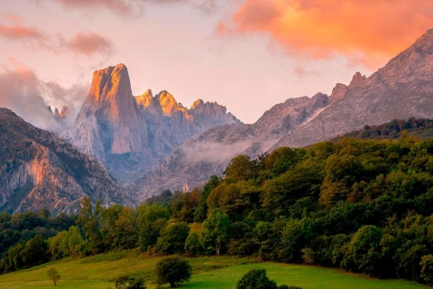 Orangenbaum in Bulmes. Nationalpark Picos de Europa, Asturien