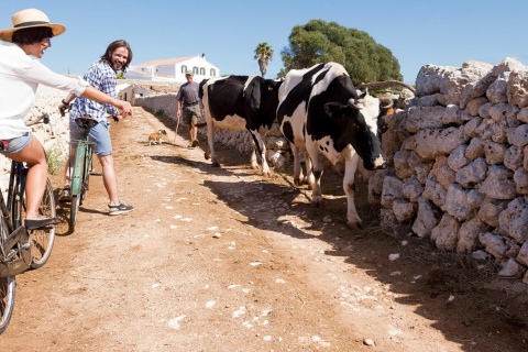 Ciclistas junto a un muro de piedra en seco en Menorca.