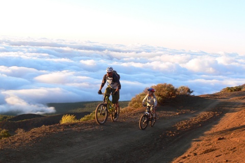 Mountain bike in Tenerife