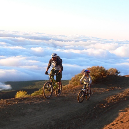 Mountain bike in Tenerife