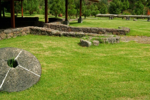 Jardín Botánico de Viera y Clavijo