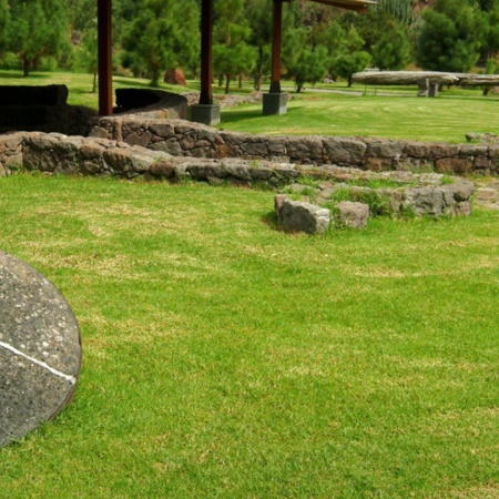 Jardim Botânico Viera y Clavijo