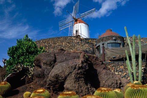 Jardim de Cactos, Lanzarote