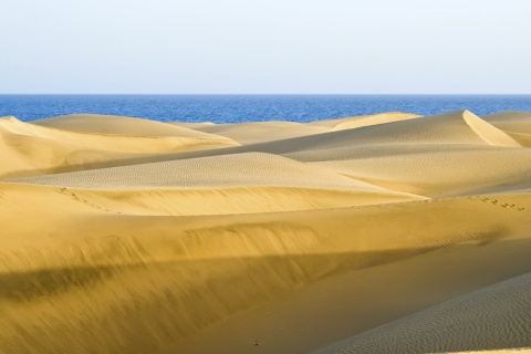 Plage de Maspalomas dans l’île de Grande Canarie (archipel des Canaries)