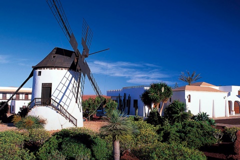 Molino en Antigua. Canarias