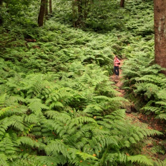 Turismo de La Palma. Saúl Santos