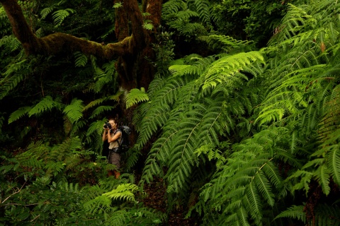 Trekking a Tenerife