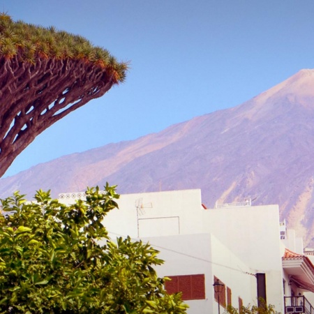 Icod de los Vinos. Tenerife