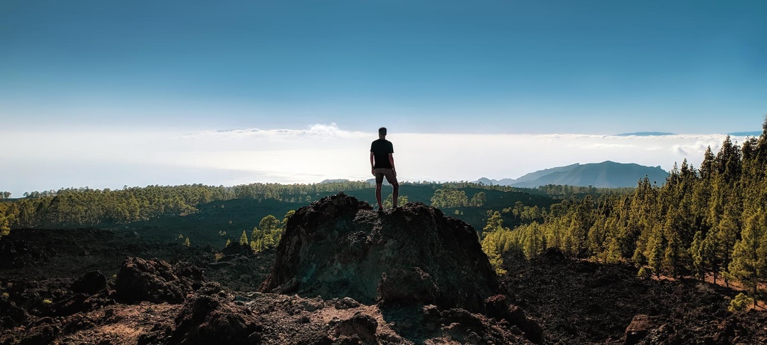 テネリフェ島の景色を眺める観光客