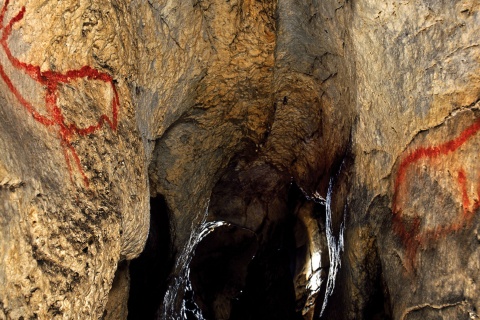 Gruta de Covalanas. Cantábria