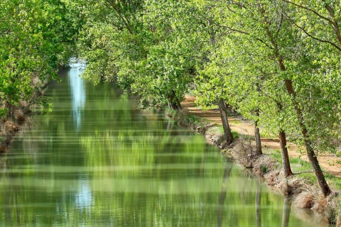 Canal de Castilla a su paso por Medina de Rioseco, Valladolid