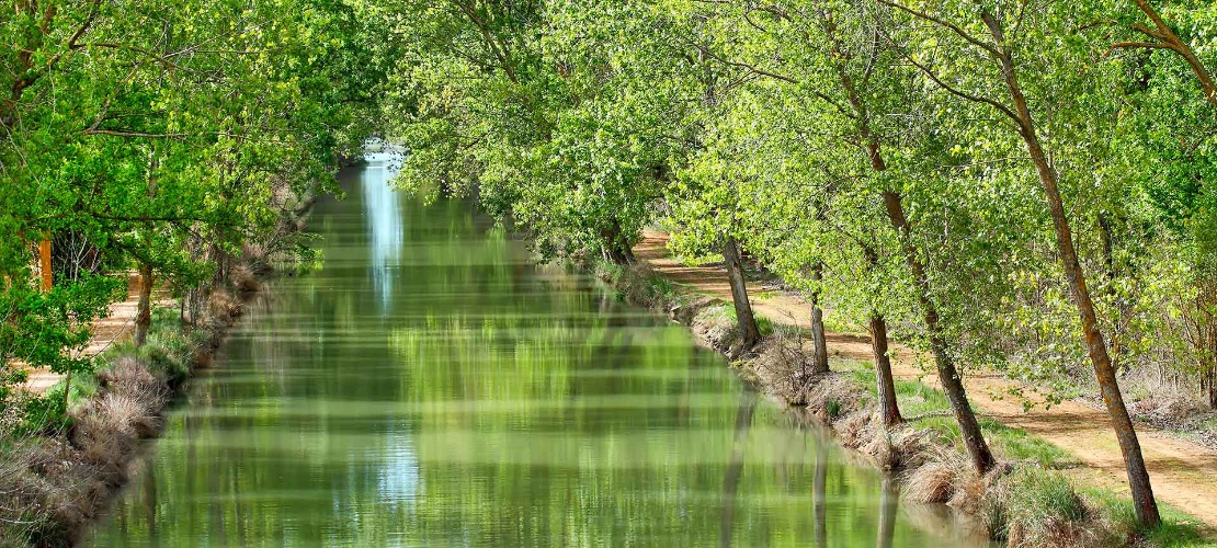 Canal de Castilla a su paso por Medina de Rioseco, Valladolid