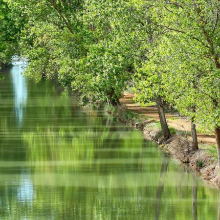 Canale di Castiglia all