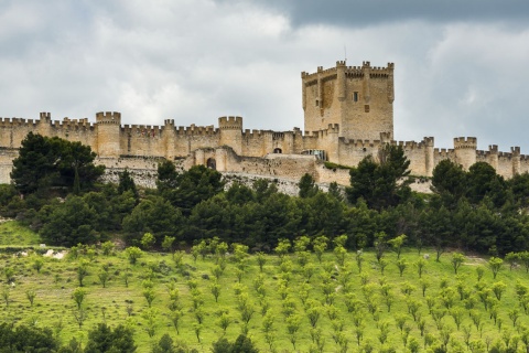 Castillo de Peñafiel. Valladolid