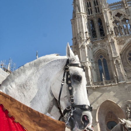 Fim de Semana Cidiano em frente à Catedral de Burgos (Burgos, Castilla y León)