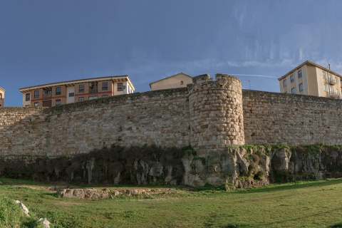 Zamora city walls