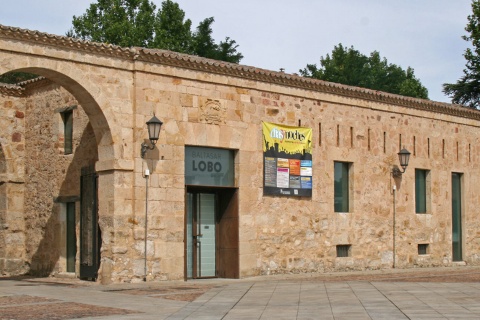 Muzeum Baltasara Lobo. Zamora