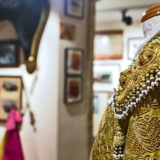 Salamanca Bullfighting Museum