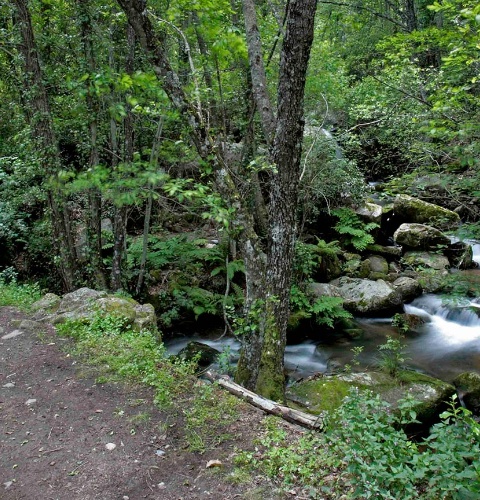 Escultura "Camino del Agua" en el Parque Natural Las Batuecas-Sierra de Francia. Salamanca