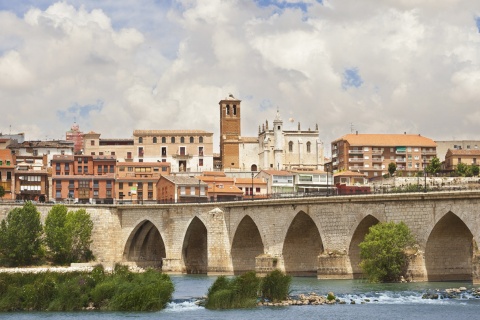 Panoramic view of Tordesillas, Valladolid (Castilla y León)