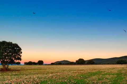 Parco Nazionale di Cabañeros