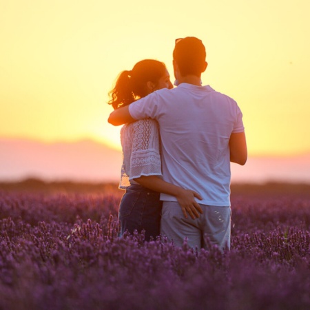 Un couple dans les champs de lavande de Brihuega, province de Guadalajara