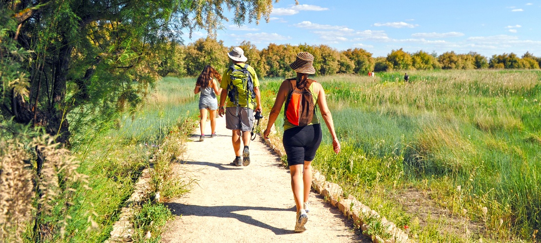 Tourists at the Tablas de Daimiel National Park in Ciudad Real, Castile-La Mancha