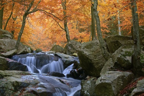 Cachoeiras no Parque Natural do Montseny, em Barcelona, Catalunha