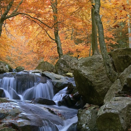 Cascades dans le parc naturel de Montseny à Barcelone, Catalogne