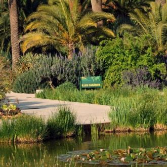 バルセロナの植物園