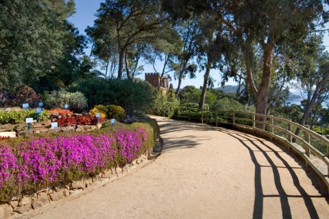 カップ・ロイグ植物園