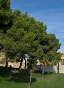 Turismo de Lleida