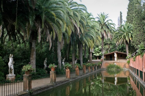 Pinya de Rosa Tropical Botanical Garde.