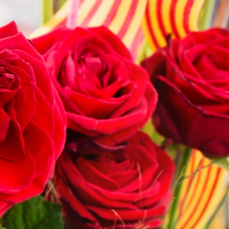 Bouquet of roses on Sant Jordi day. Barcelona